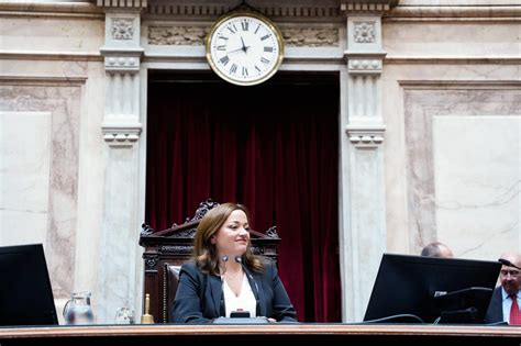 Cecilia Moreau Celebró La Media Sanción Al Proyecto Que Fortalece La