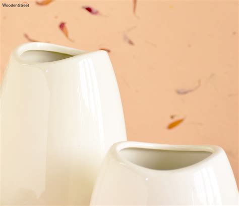 Buy Modern White Set Of Neck Vases Online In India At Best Price