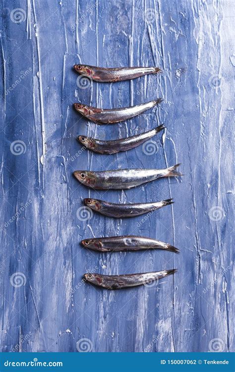 Fish Pattern Fresh Anchovies On Blue Stock Photo Image Of Fish