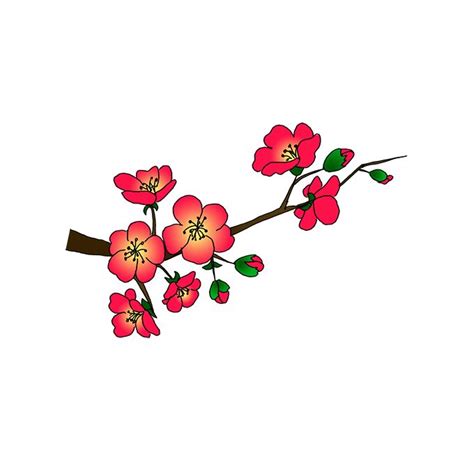 Fantastic Tips About How To Draw Plum Blossom Staypp