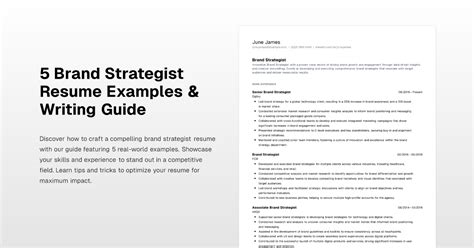 Brand Strategist Resume Examples Writing Guide