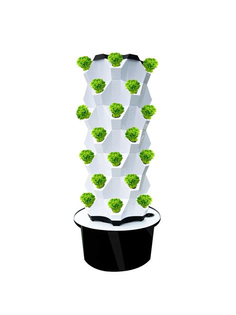 Hydroponics For Everyone A Practical To Gardening In The 21st Century 8