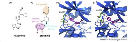 Fda Approved Small Molecule Kinase Inhibitors Trends In