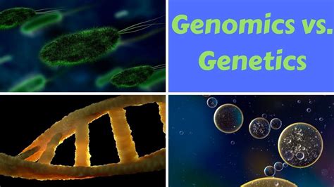 Genetics Vs Genomics