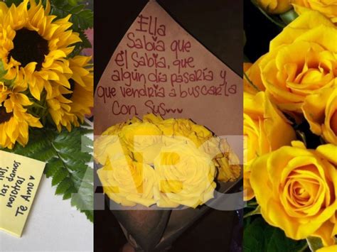 ¿por Qué Se Regalan Flores Amarillas El 21 De Marzo En México Enfoca Tv