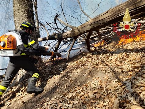 Faggeto Lario Bosco Di Castagni In Fiamme Intervengono Vigili Del