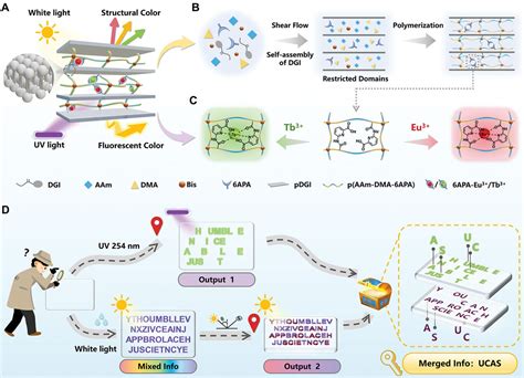 Tunable Color Hydrogel Enables Multistage Encryption