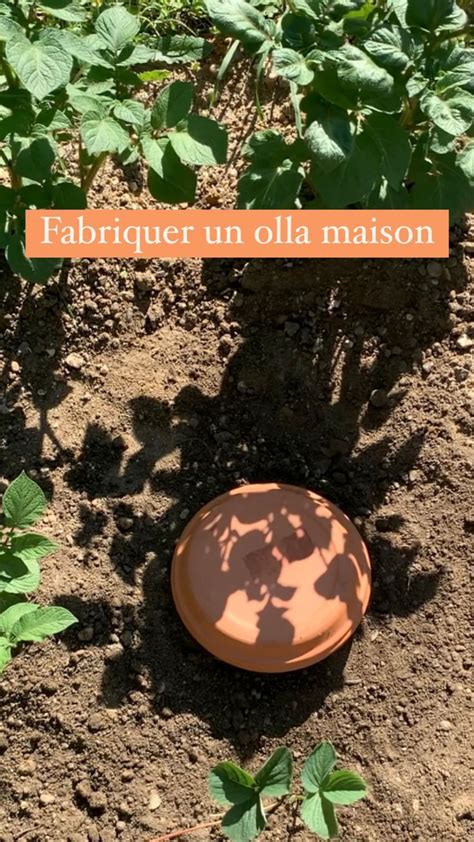 Diy Fabriquer Un Olla Ou Oya Maison En Arrosage Jardin