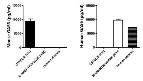 B Hmertkhgas6 Micebiocytogen Pharmaceuticals Beijing Co Ltd