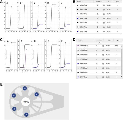 Multicenter Evaluation Of The Idylla Nras Braf Mutation Test In