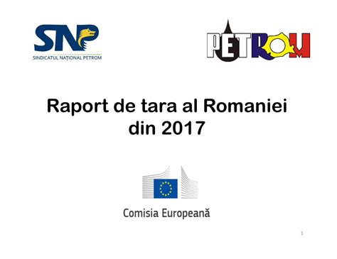 PDF Raport De Tara Al Romaniei Din 2017 De Tara Al Romaniei Din 2017