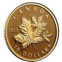 Kanada 10 CAD Everlasting Maple Leaf 2023 1 20 Oz Gold Reverse