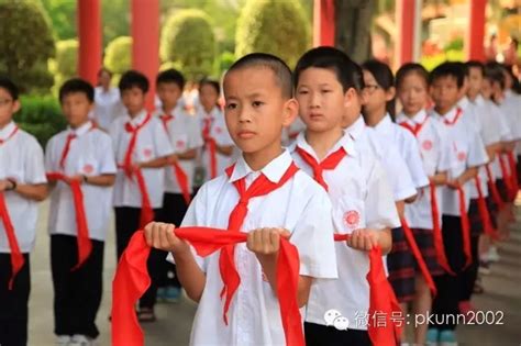 珍爱红领巾，热爱少先队——小学部举行少先队入队仪式 新闻资讯 北京大学南宁附属实验学校 1