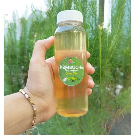 Jual Kombucha Green Tea Minuman Fermentasi Probiotic Shopee Indonesia