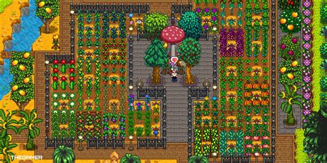 Best Farm Layouts In Stardew Valley