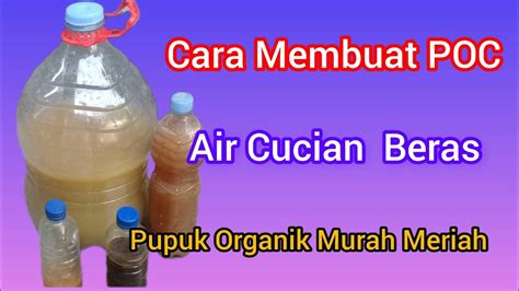 Cara Membuat POC Pupuk Organik Cair Air Cucian Beras YouTube