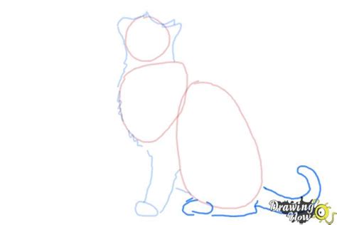 How To Draw A Cat Profile Drawingnow