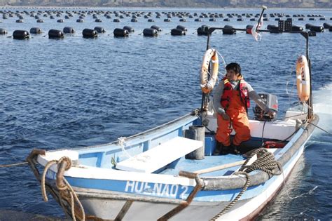 Incertidumbre La Nueva Ley De Pesca Pesca Y Acuicultura