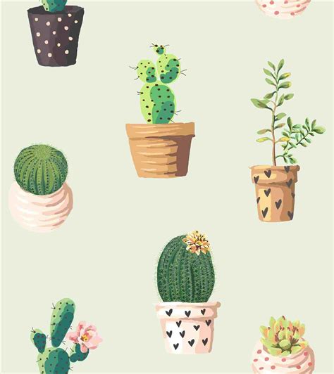 Plants Cactus Illustration Desktop Wallpaper Art Cute Desktop Wallpaper