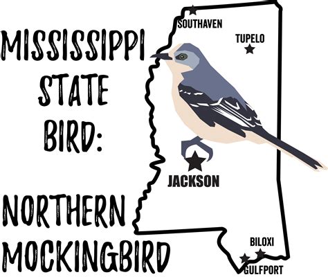 Mississippi State Bird - Bird Watching Academy