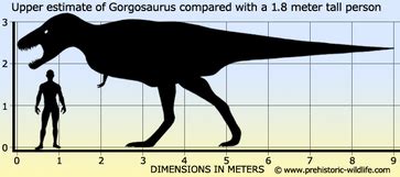 Gorgosaurus - Everything Dinosaurs