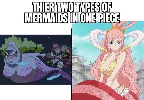 One Piece Mermaids R Goodanimemes