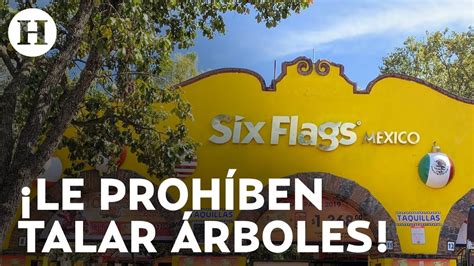 Six Flags No Tendr Nueva Atracci N Sedema No Autoriza Talar