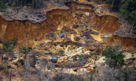 Ibama Inicia Opera O Contra O Garimpo No Territ Rio Yanomami E Destr I