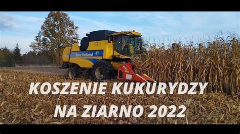 Niwa Kukurydziane New Holland W Akcji Kukurydza Nh Cxs