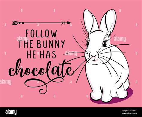 Follow The Bunny He Has Chocolate Cute Bunny Saying Funny