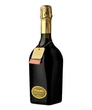 Ceci Lambrusco Otello Nerodilambrusco Emilia IGT Magnum