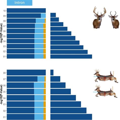 Stacked Barplots Representing The Proportion Of Snps From All Windows