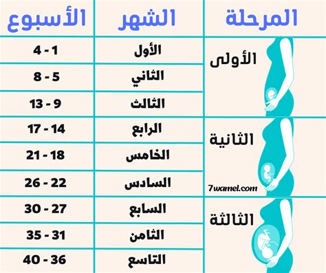 برنامج حساب الحمل بالاسابيع بالعربي موسوعة إقرأ برنامج حساب الحمل