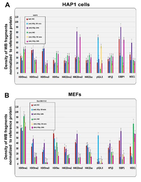 Quantification Of Western Blot Data On Selected Histone Markers In Download Scientific Diagram