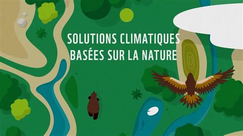 Solutions climatiques basées sur la nature YouTube