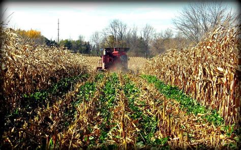 Mccc The Goal Of The Midwest Cover Crops Council Mccc Is To