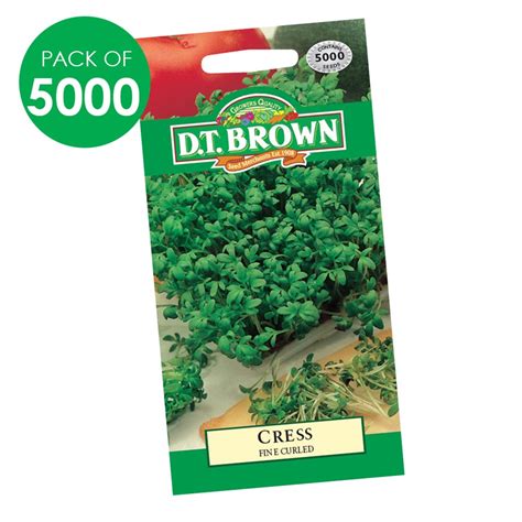 Cress Seeds Pack Of 5000 Gardening Cleverpatch Art And Craft Supplies