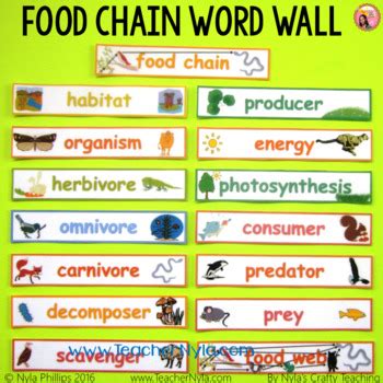 Food Chains And Food Webs Word Wall By Nyla S Crafty Teaching Tpt