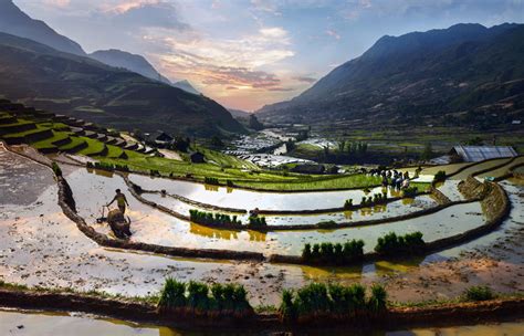 rice fields, sapa, vietnam photo | One Big Photo