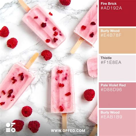 25 Vibrant Food Color Palettes for Food Photography | OFFEO