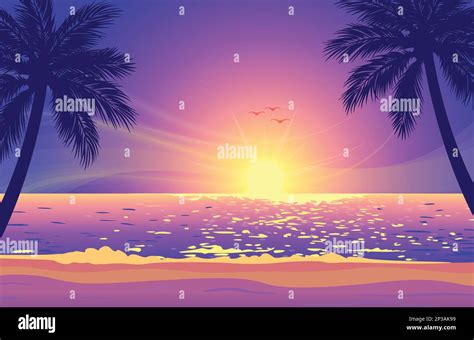 Warm Tropical Beach Purple Pink Orange Sunset Background With Palm