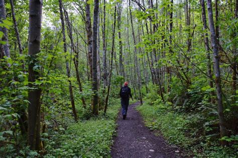 Top 10 Hikes In Washington State The Whole U