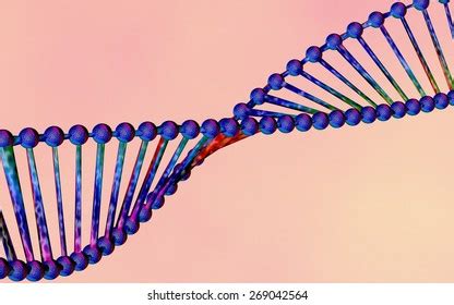 Double Helix Dna Stock Illustration 269042564