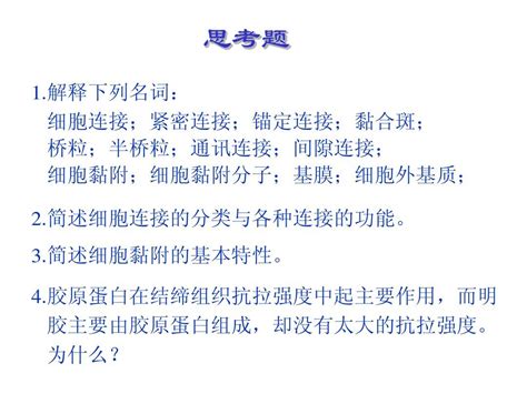 细胞连接、细胞粘附与细胞外基质 细胞生物学 课件1 08word文档在线阅读与下载无忧文档