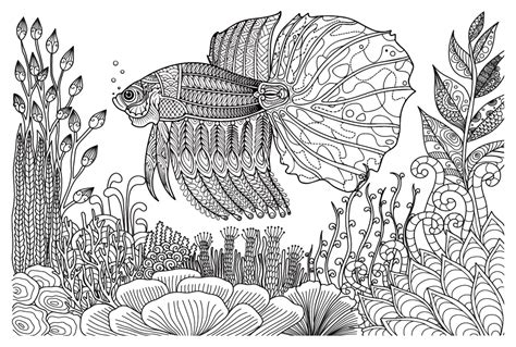 27 Free Printable Betta Fish Coloring Pages