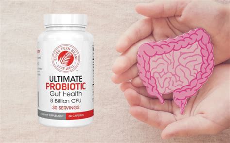 Everything You Need to Know About Silver Fern Probiotics - Flab Fix