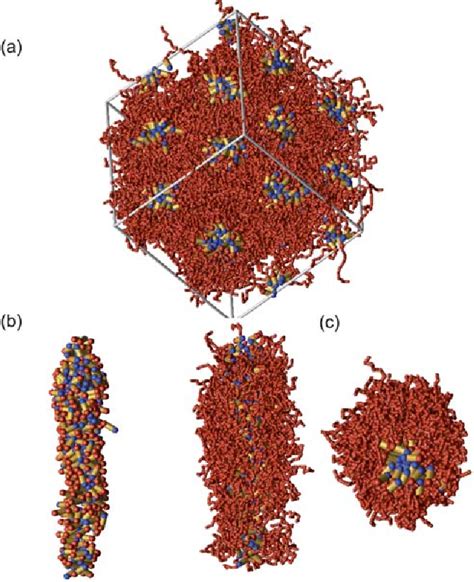 Figure 3 From Self Assembly Of End Tethered Nanorods In A Neat System