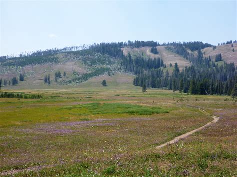 Meadow East Of Cascade Lake Cascade Lake And Observation Peak Trails