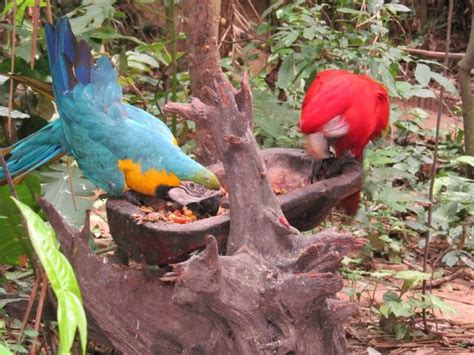 Room photo 549332 Biocentro Guembe