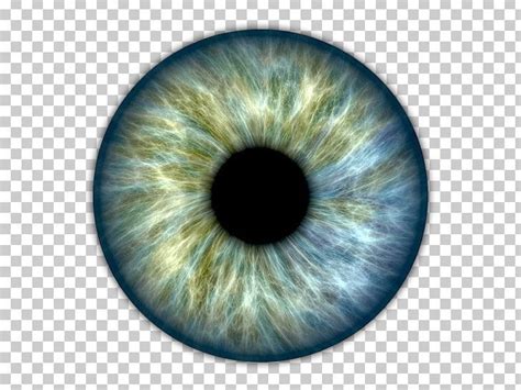 Iris Human Eye Pupil Retinal Scan PNG, Clipart, Advertising, Biomedical ...